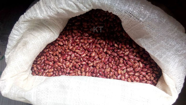 Ibi bishyimbo bikungahaye ku butare(Fer) kandi binatanga umusaruro uhagije