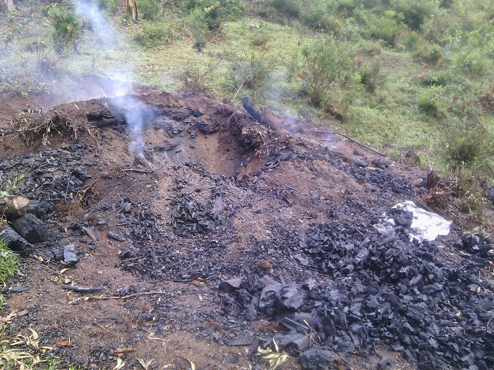 Hari abagiye batema ibiti bagatwikamo amakara