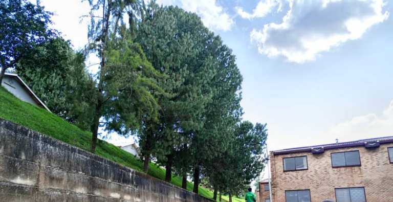 Ibiti Wild Life Club yayoborwaga na Frank Habineza yateye muri Kaminuza y'u Rwanda mbere ya 2005, byarakuze