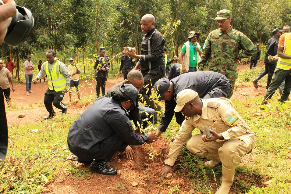 DIGP Ujeneza atera igiti n'izindi nzego z'umutekano