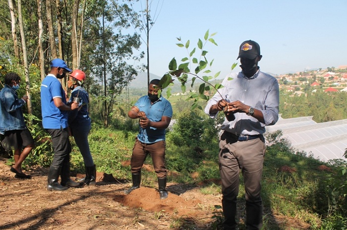 Umuyobozi wa IPRC Huye, Lt. Col. Dr. Barnabe Twabagira yifatanyije n'abanyeshuri mu gutera igiti