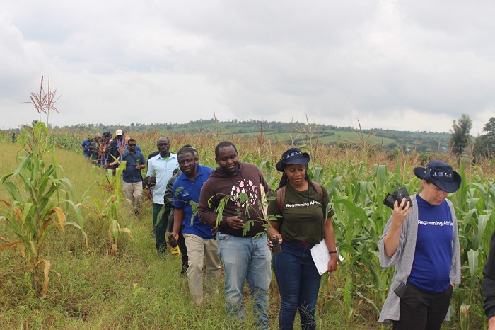 Inshuti z'Abanyarwanda baba mu mahanga bishimiye gutera igiti mu Rwanda