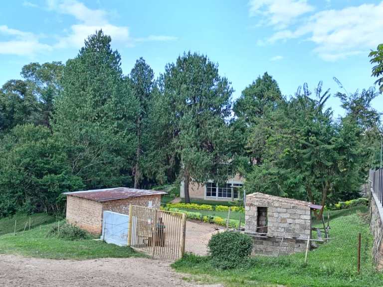 Dr. Frank Habineza yishimira umusanzu yatanze mu gutera ibiti muri Kaminuza y'u Rwanda, ubu bikaba byaranakuze