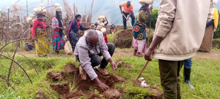 Mu Murenge wa Kivu batera ibiti