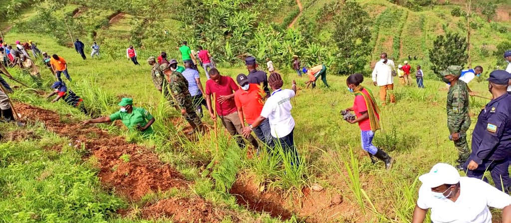 Bateye ibiti bivangwa n'imyaka