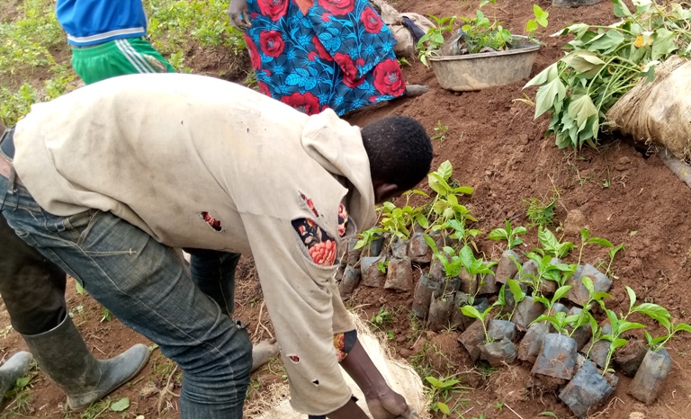 Murengerantwari yahisemo ibinyomoro na marakuja