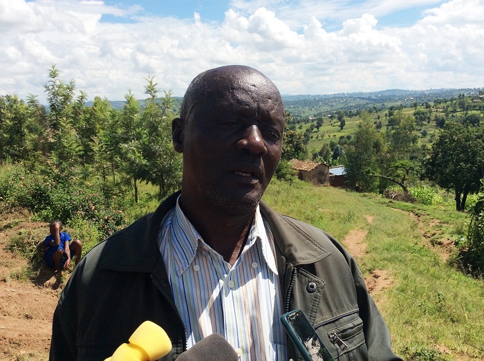 Kaberuka avuga ko ishyamba baritezeho ingwate mu mabanki bakiteza imbere