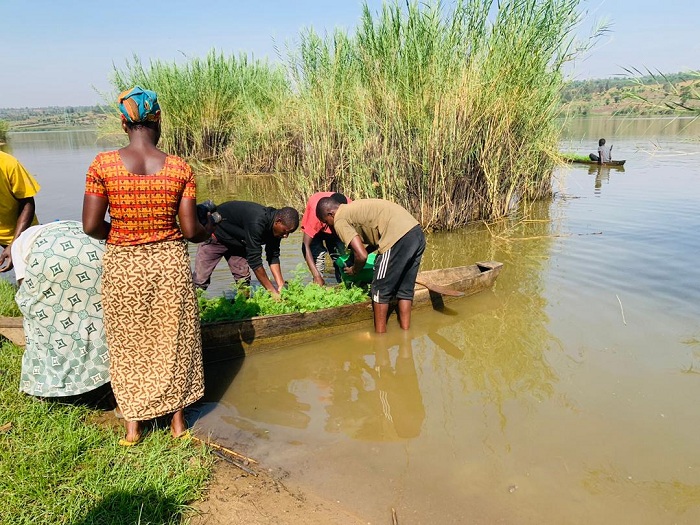 Hari ibiti byanyuzwaga mu mazi kugira ngo bigezwe aho bigomba guterwa
