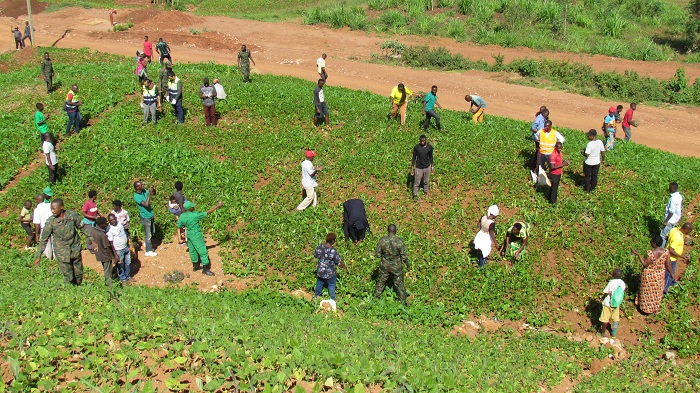 Hatewe ibiti bivangwa n'imyaka