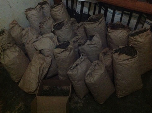 Urumogi rwafatiwe kwa Muvunyi mu gisenge cy