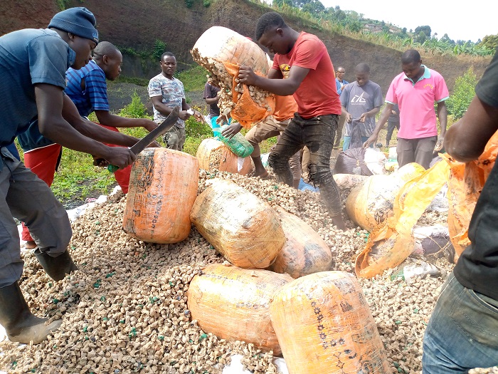 RRumwe mu rumogi ruzanwa mu Rwanda mu mashashi rukanyuzwa mu mazi y'ikiyaga cya Kivu