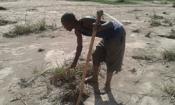 Uyu musaza avuga ko aha hari hahinze umuceri ariko wose warengerwe