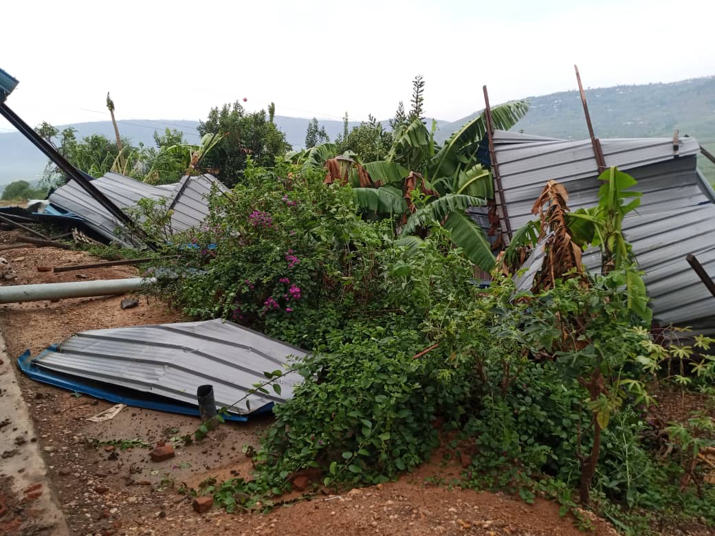 Ibisenge byatwawe n'umuyaga