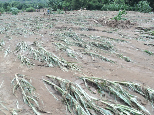 Zimwe mu ngaruka z'imihindagurikire y'ikirere ni imyuzure yangiza imyaka.