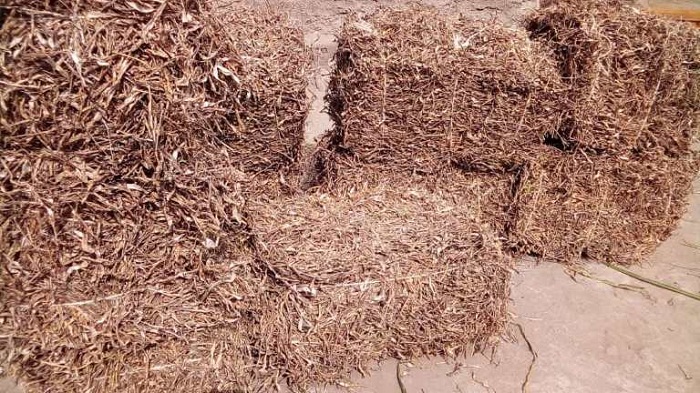 Ibinyamisogwe byo birumishwa, bikazingwa hanyuma bikabikwa