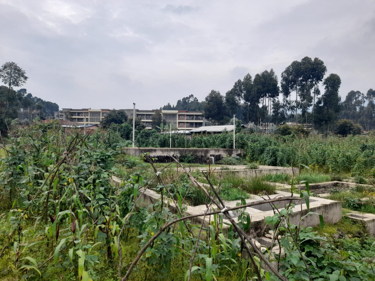 Ibyo byobo byubatswe hafi y'Umudugudu w'Icyitegererezo wa Kinigi