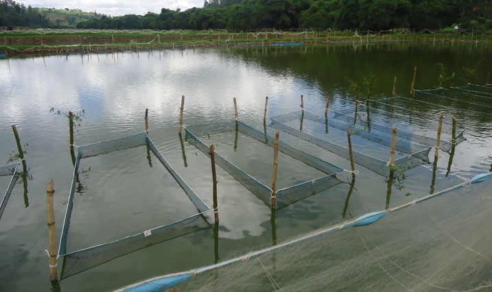 Barasaba kwegerwa bagafashwa kuzamura ubworozi bwabo.