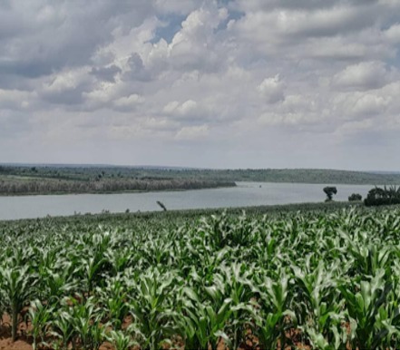 Icyanya cyuhirwa mu Karere ka Ngoma kiri mu bizatezwa imbere