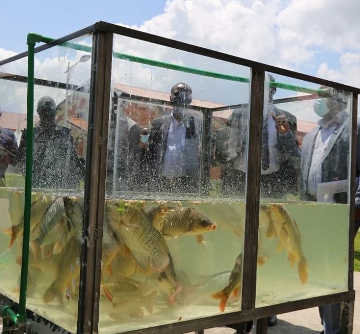 Urubyiruko rusanga haramutse hongewe ishoramari mu mishinga yarwo rwagera kuri byinshi