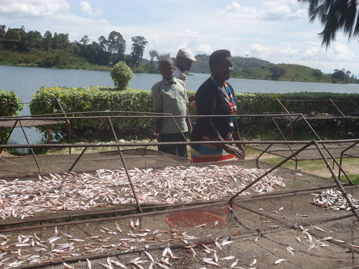 Ifi yitwa "Rwanda Rushya" ngo irya isambaza.