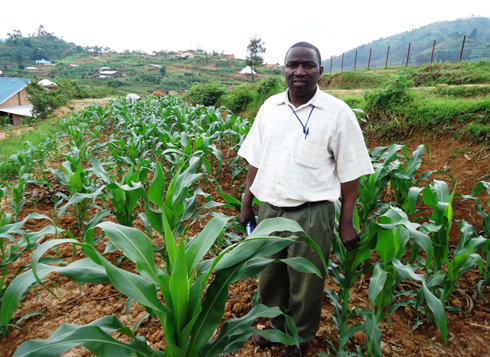 Ifumbire iva mu myanda yo mu bwiherero ifumbira imyaka igasa isa neza.