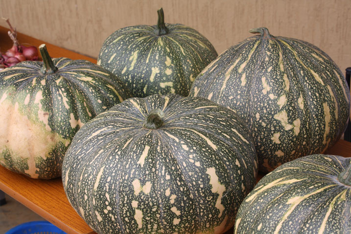 Igihaza kimwe gishobora kugeza ku biro 15.