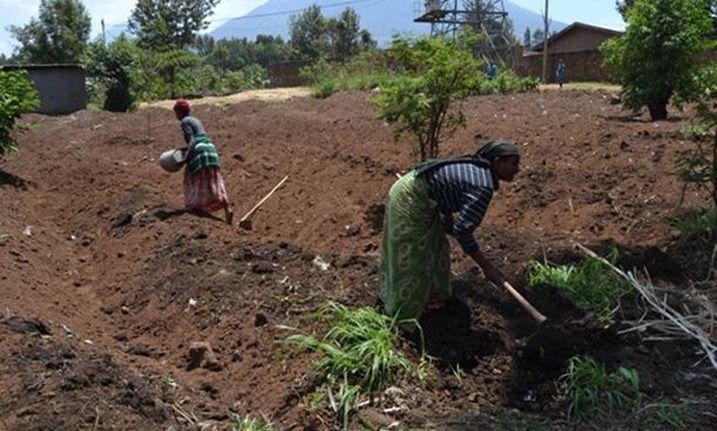 Abagore bateye intambwe mu buhinzi ariko baracyabangamirwa n