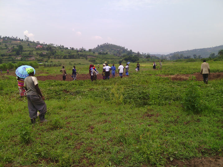 Igishanga cya Kamiranzovu.