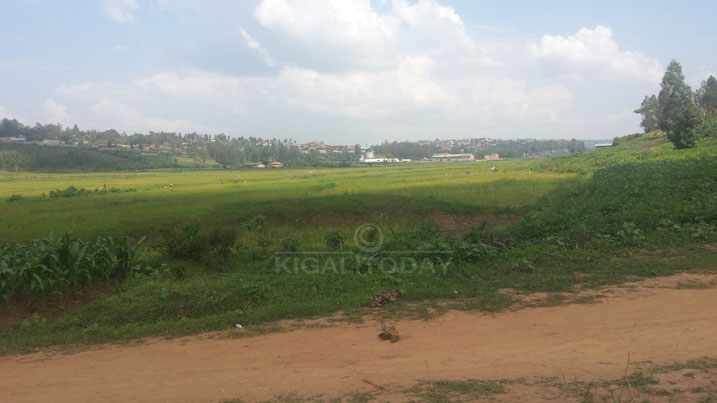 Igishanga cya Rwasave kigabanya akarere ka Huye n'aka Gisagara