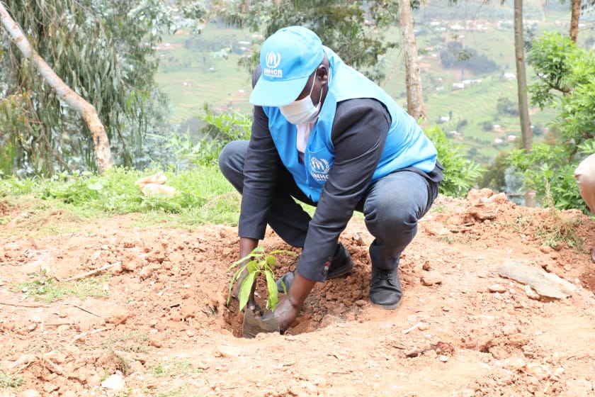 Bahise batangira gutera ibiti ahari inkambi ya Gihembe
