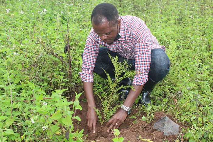 Spridio Nshimiyimana, Umyobozi Mukuru w'agateganyo wa RFA yifatanyije n'abaturage bo muri Kirehe mu gutera ibiti