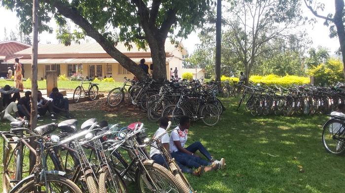 Igiti abunzi urwego rw'ubujurire umurenge wa Ngarama bakoreragamo kiri inyuma y'umurenge