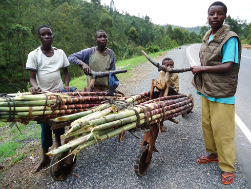  Icuguti itwara imizigo myinshi kandi ngo ntivuna nk'igare. (Photo: N. Leonard)