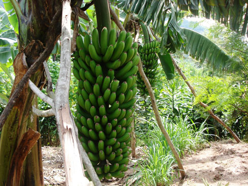 Igitoki cyavuye ku biro 20 kikagera ku biro biri hejuru y'100.