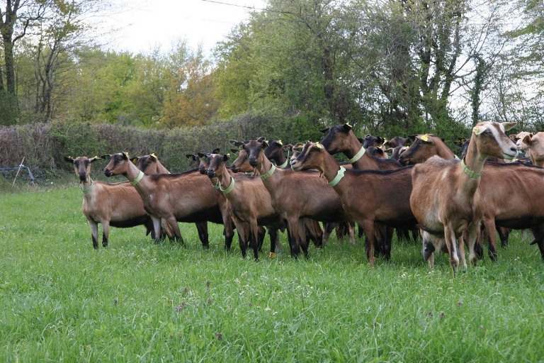 Ihene bahawe zizabafasha kurwanya imibereho mibi