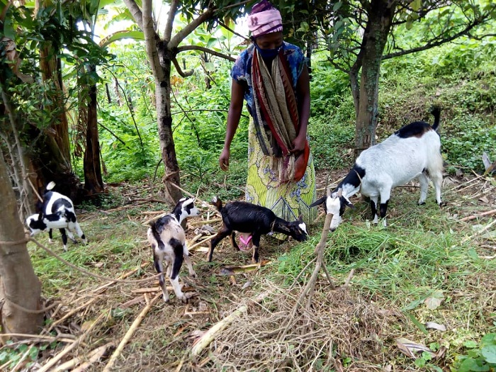 Uyu mubyeyi ihene ye ibyara eshatu, byatumye ashinga butike