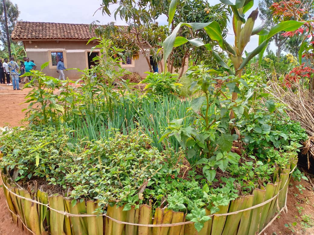 Bigishwa guhinga imboga no gutegura indyo yuzuye