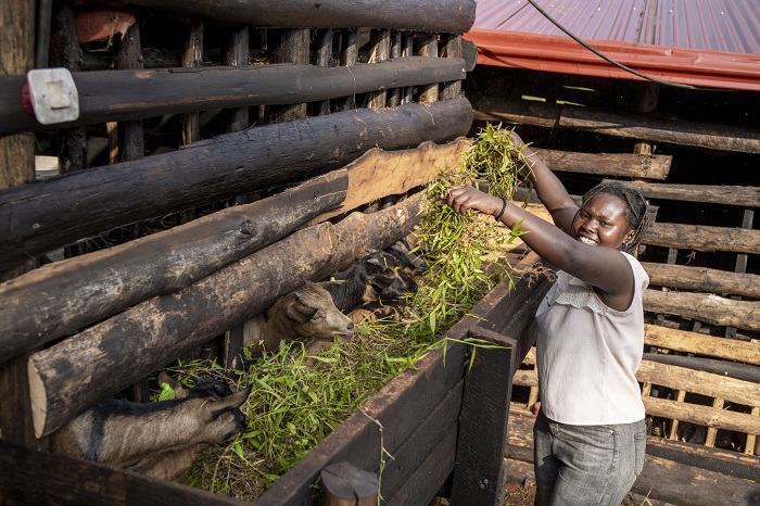Umwe mu bafite ubumuga bwo kutumva no kutavuga agaburira ihene bahawe