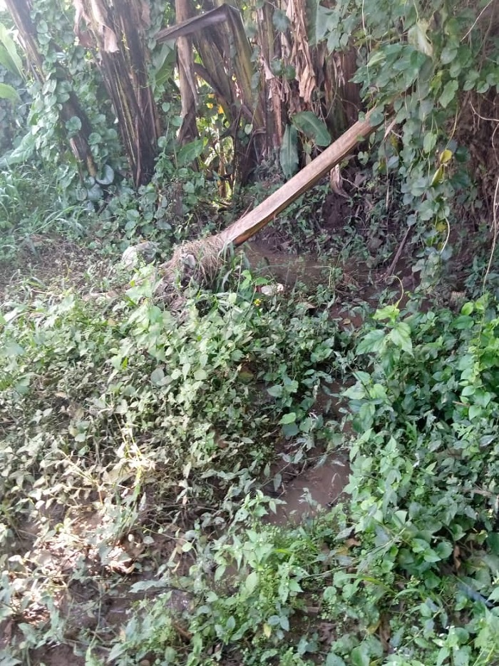 Aya mazi yiroha mu mirima y'abaturage ku buryo hari n'abahitamo kutayihinga kuko ntacyo basarura