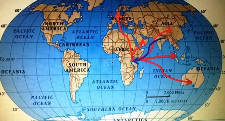 Ikarita igaragaza inzira abajyanwa gucuruzwa banyuzwamo.