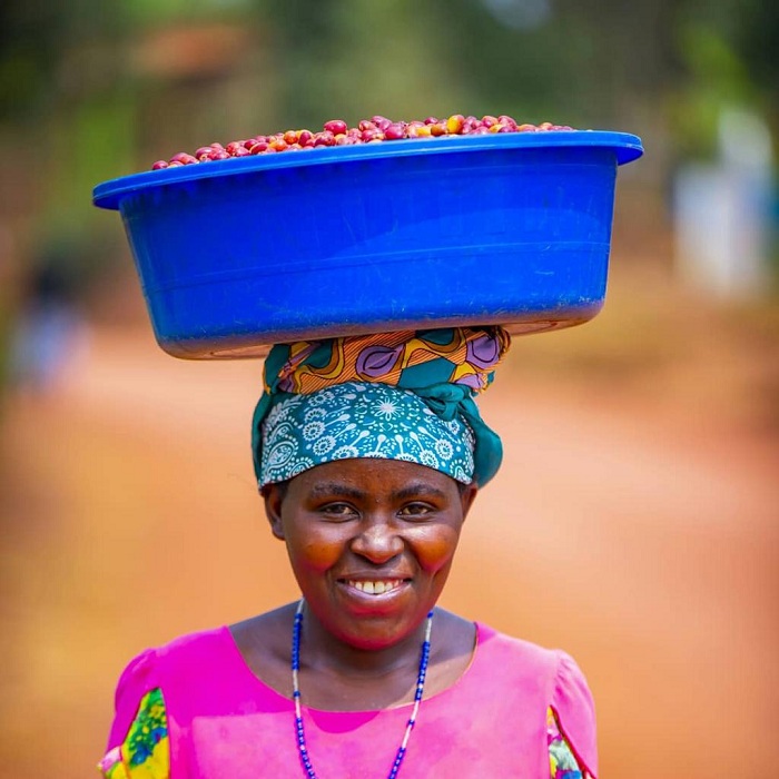 Abagore bakomeje kugaragaza ubushobozi mu kwita kuri kawa