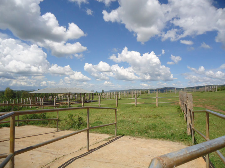 Isoko bavuga rigomba kuzubakwa muri iki kibanza kiri kubakwamo Sacco ryubatswe ahandi.