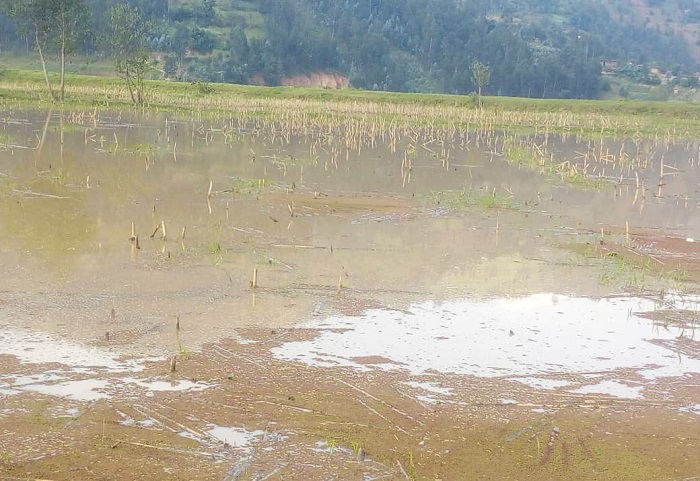 Ikibaya cyarengewe n