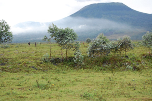 Ikibaya gihuza u Rwanda na Congo mu murenge wa Busasamana