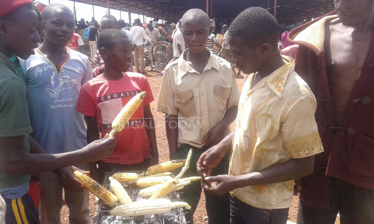 Abaturage baraburirwa ko nibakomeza kotsa ibigori bazahomba. Aha ni ku isoko rimwe ryo muri Kirehe aho ikigoli kimwe kigura 100RWf