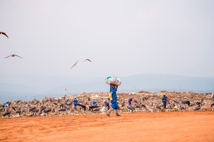 Nyuma yo kuvangura imyanda, ibora bahita bayirenzaho igitaka bagatsindagira, ku buryo nta munuko uza