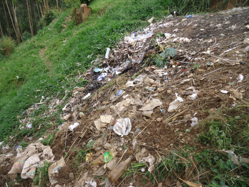 Amashashi yaruzuye asigara aguruka ku gasozi. (Foto: E.Musanabera)