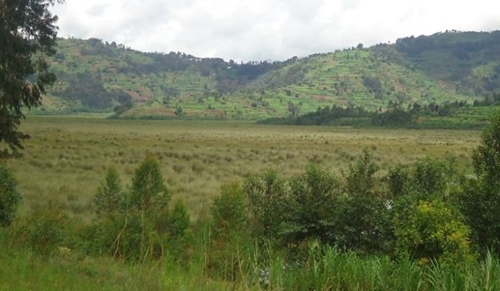 Ikiraro kizambukiranya Urugezi kizaba gifite uburebure bubarirwa mu bilometero bibiri