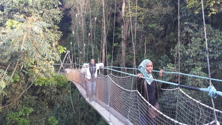 Ikiraro cyo mu kirere kiri mu bisurwa cyane muri parike ya Nyungwe