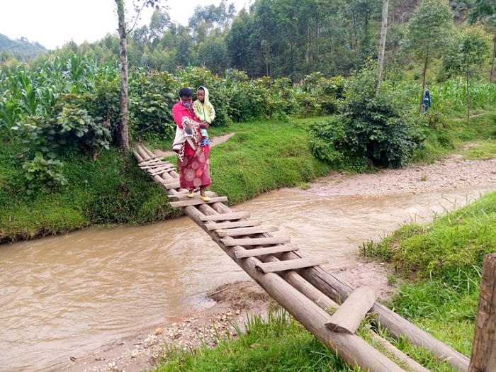Iyo imvura ibaye nyinshi igatera imyuzure, iki kiraro kiratwarwa, hagashira iminsi abanyeshuri batajya kwiga bategereje ko umuganda ukora ikindi